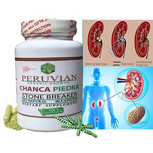 Chanca Piedra 2 1000 MG per Serving- 120 Tablets 2 Bottles Kidn...
