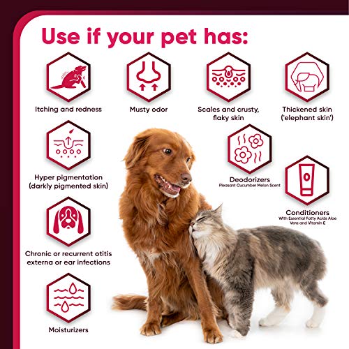 Pet Health Pharma Truseb| #1 Chlorhexidine Shampoo with Ketoconaz...