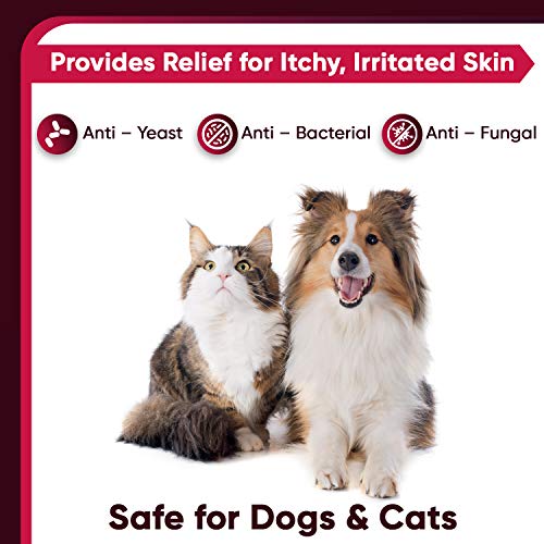 Pet Health Pharma Truseb| #1 Chlorhexidine Shampoo with Ketoconaz...