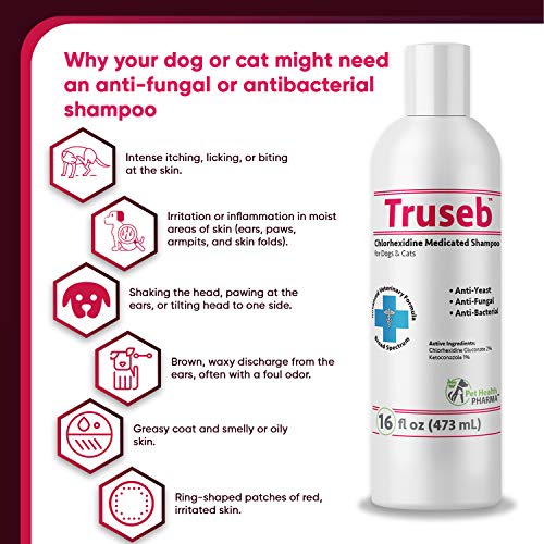 Pet Health Pharma Truseb| #1 Chlorhexidine Shampoo with Ketoconaz...