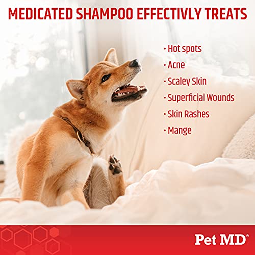 Pet MD - Medicated Shampoo for Dogs, Cats and Horses with Chlorhe...
