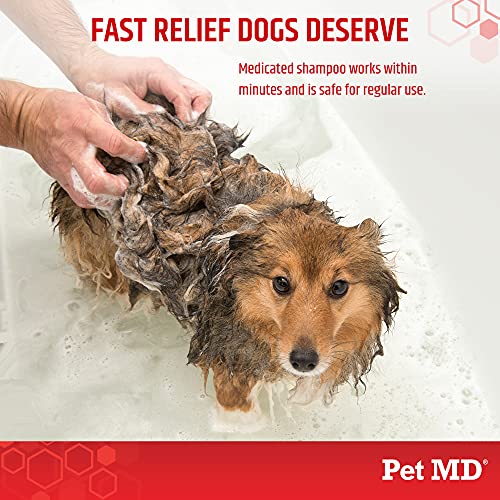 Pet MD - Medicated Shampoo for Dogs, Cats and Horses with Chlorhe...