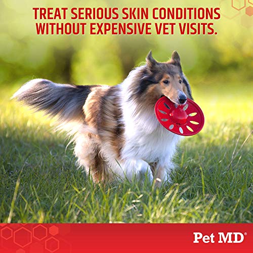 Pet MD - Medicated Shampoo for Dogs, Cats and Horses with Chlorhe...