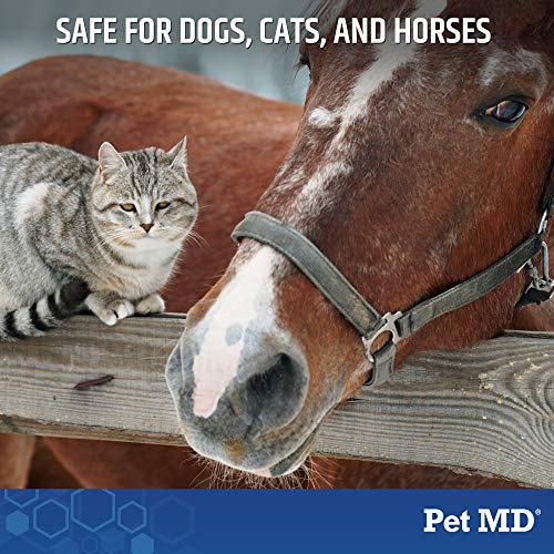 Pet MD Medicated Shampoo for Dogs, Cats, & Horses with Ketoconazo...