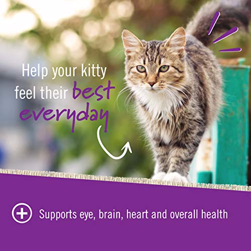 Pet Naturals - Daily Multi for Cats, Daily Multivitamin Formula w...