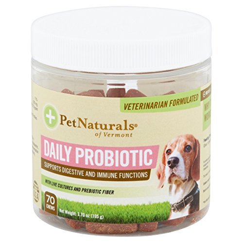 Pet Naturals Daily Probiotic for Dogs of Vermont 70 Chewable