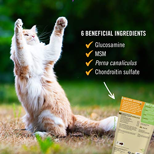 Pet Naturals - Hip + Joint for Cats, Daily Hip & Joint Support Su...