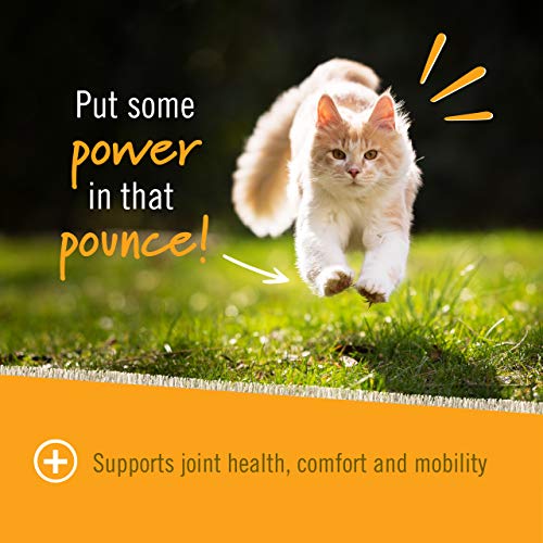 Pet Naturals - Hip + Joint for Cats, Daily Hip & Joint Support Su...