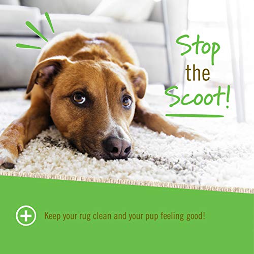 Pet Naturals of Vermont - Scoot Bars, Natural Anal Gland Support ...