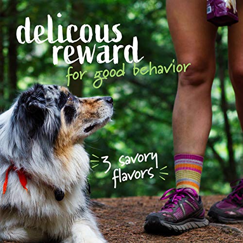 Pet Naturals of Vermont Superfood Dog Treats, Bacon, 7.41oz - Nat...