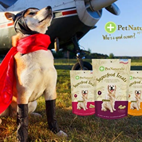 Pet Naturals of Vermont Superfood Dog Treats, Bacon, 7.41oz - Nat...
