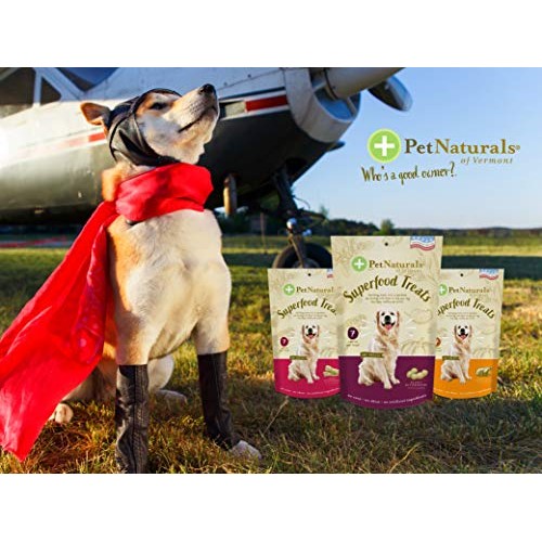 Pet Naturals of Vermont Superfood Dog Treats, Bacon, 7.41oz - Nat...