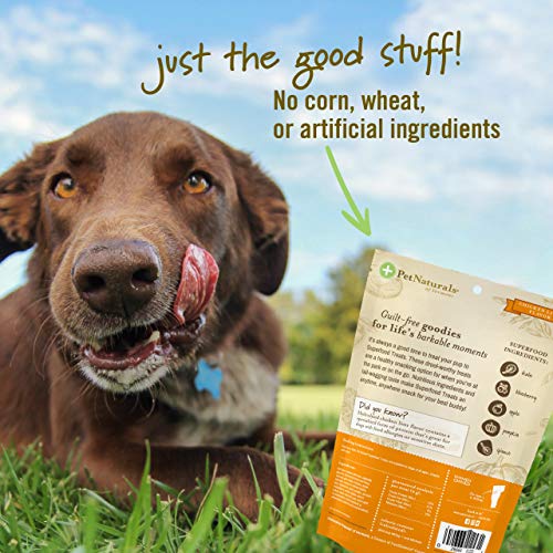 Pet Naturals of Vermont Superfood Dog Treats, Bacon, 7.41oz - Nat...