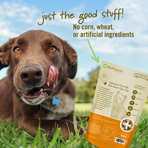 Pet Naturals of Vermont - Superfood Treats for Dogs - Healthy Dai...