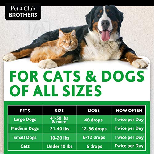 PETCLUBBROTHERS B 2 Pack Hemp Oil for Dogs & Cats 300,000 - Pre...