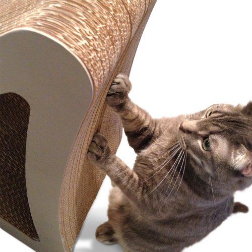 PetFusion 3-Sided Vertical Cat Scratching Post Standard Size, Wa...