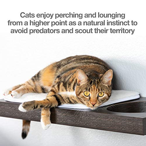 PetFusion Cat Activity Wall Shelves Available as a 3-Piece Set o...