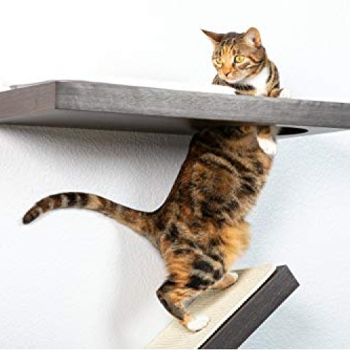 PetFusion Cat Activity Wall Shelves Available as a 3-Piece Set o...