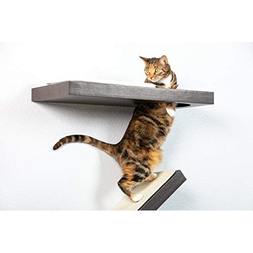 PetFusion Cat Activity Wall Shelves Available as a 3-Piece Set o...