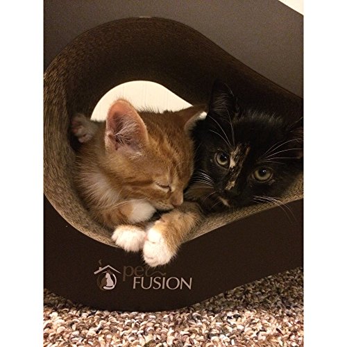 PetFusion Cat Scratcher Lounge - Walnut Brown, 1 Level PF-CL1