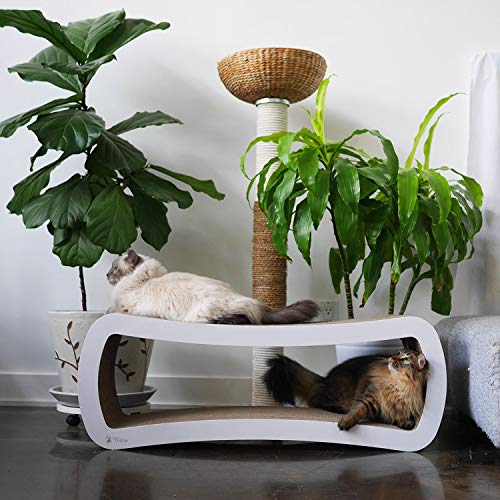 PetFusion Jumbo Cat Scratcher Lounge, White. 39 x 11 x 14 inch l...