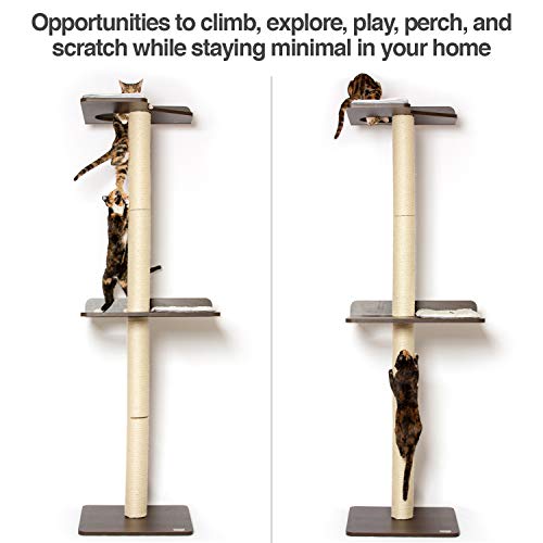 PetFusion Ultimate Cat Climbing Tower & Activity Tree. 24 x 20.8...