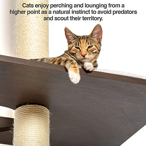 PetFusion Ultimate Cat Climbing Tower & Activity Tree. 24 x 20.8...