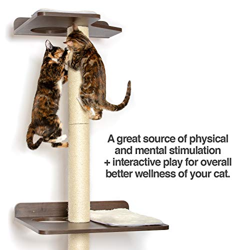 PetFusion Ultimate Cat Climbing Tower & Activity Tree. 24 x 20.8...