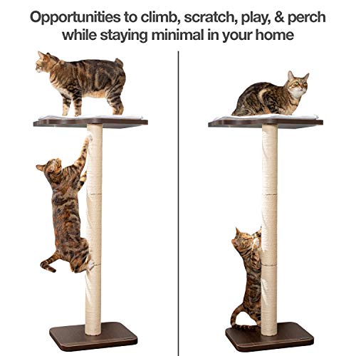 PetFusion Ultimate Cat Window Climbing Perch 45” Tall Tree Sisal...
