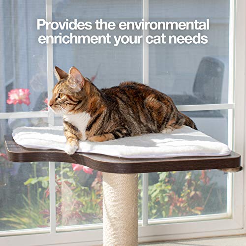 PetFusion Ultimate Cat Window Climbing Perch 45” Tall Tree Sisal...