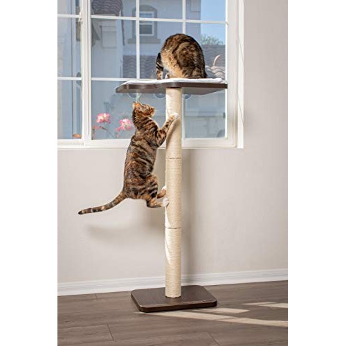 PetFusion Ultimate Cat Window Climbing Perch 45” Tall Tree Sisal...