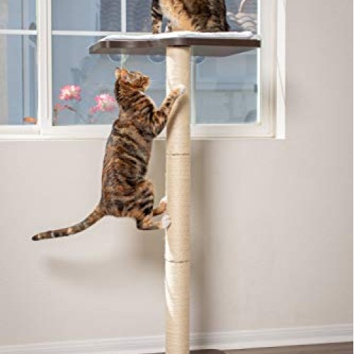 PetFusion Ultimate Cat Window Climbing Perch 45” Tall Tree Sisal...