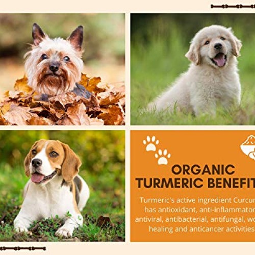 Ear Cleaner for Pet Mite and Yeast Infection Treatment for Dogs a...