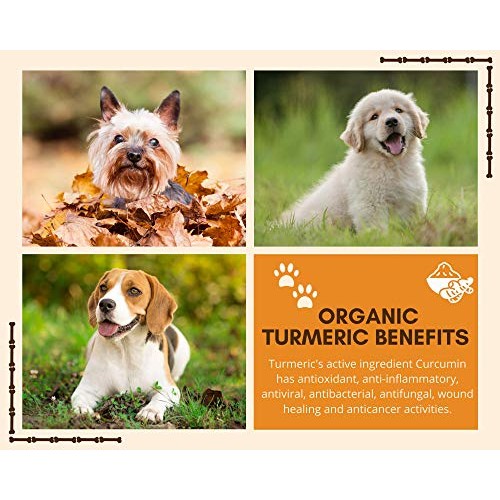 Ear Cleaner for Pet Mite and Yeast Infection Treatment for Dogs a...