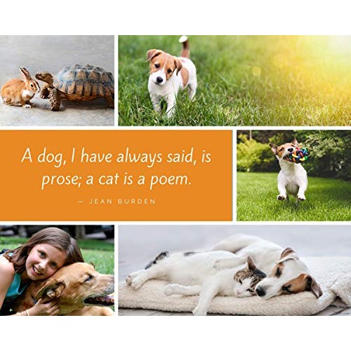 Ear Cleaner for Pet Mite and Yeast Infection Treatment for Dogs a...