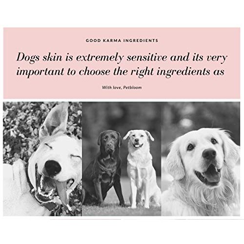 Ear Cleaner for Pet Mite and Yeast Infection Treatment for Dogs a...