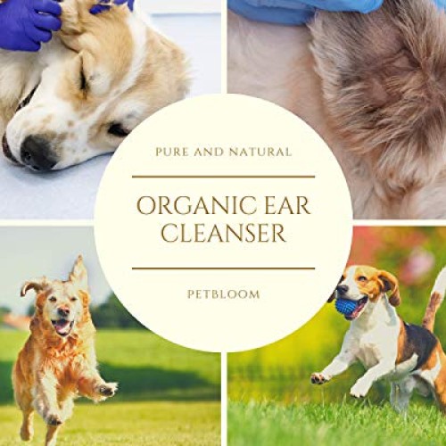 Petglow All Natural Turmeric antifungal, Antibacterial, Anti-infl...