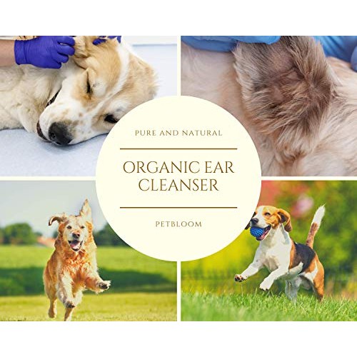Petglow All Natural Turmeric antifungal, Antibacterial, Anti-infl...