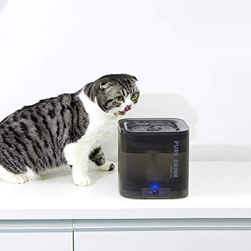 PETKIT CYBERTAIL Cat Water Fountain, 63oz/1.85L Pet Water Fountai...