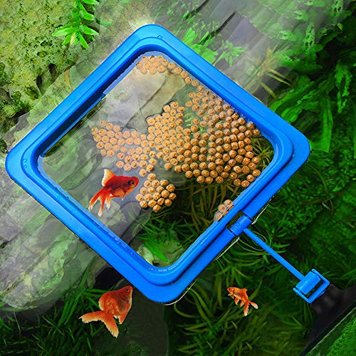 PETLOFT Automatic Fish Feeder, Programmable Auto Food Feeder Time...