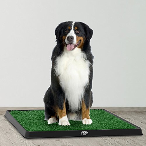 Artificial Grass Puppy Pad for Dogs and Small Pets – Portable Tra...