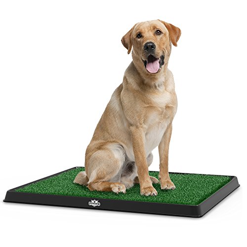Artificial Grass Puppy Pad for Dogs and Small Pets – Portable Tra...