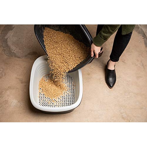 Petmate Arm & Hammer Large Sifting Litter Pan