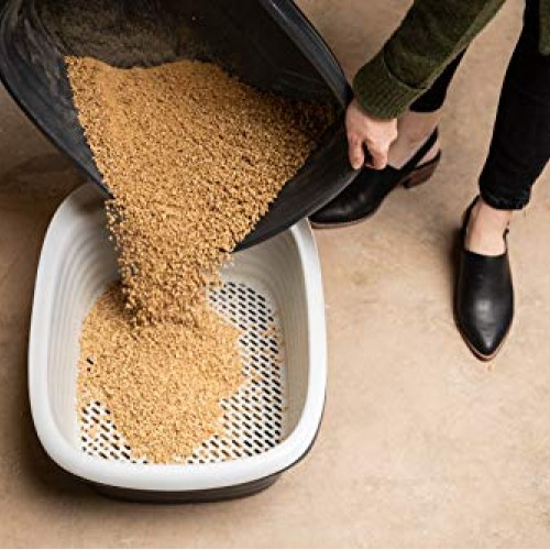 Petmate Arm & Hammer Large Sifting Litter Pan