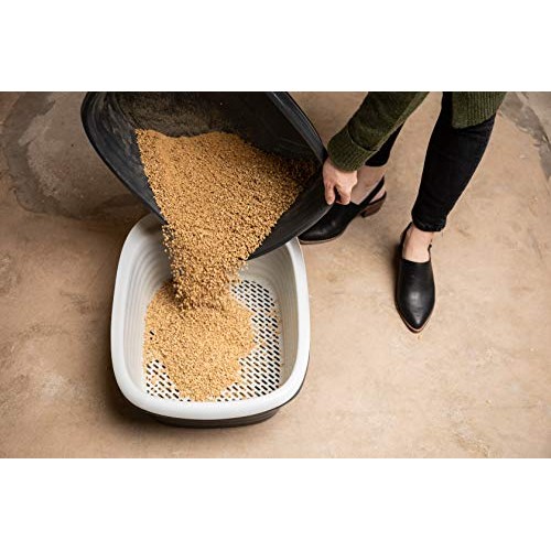 Petmate Arm & Hammer Large Sifting Litter Pan