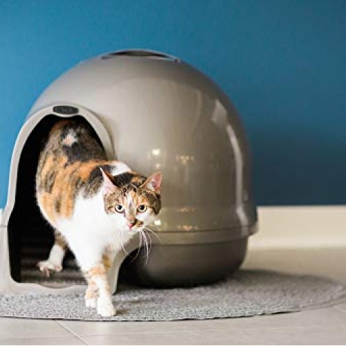 Petmate Booda Dome Clean Step Cat Litter Box 3 Colors, Brushed Ni...