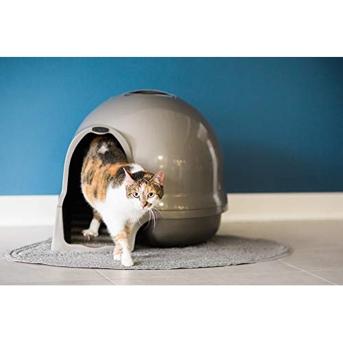 Petmate Booda Dome Clean Step Cat Litter Box 3 Colors, Brushed Ni...