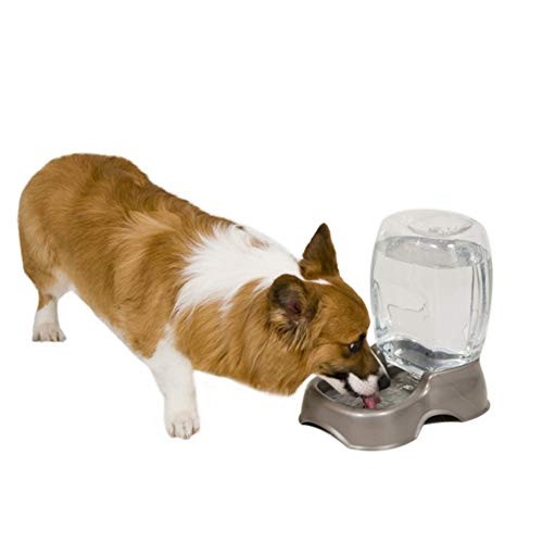Petmate Pet Cafe Gravity Waterer Cat and Dog Water, 0.75GAL