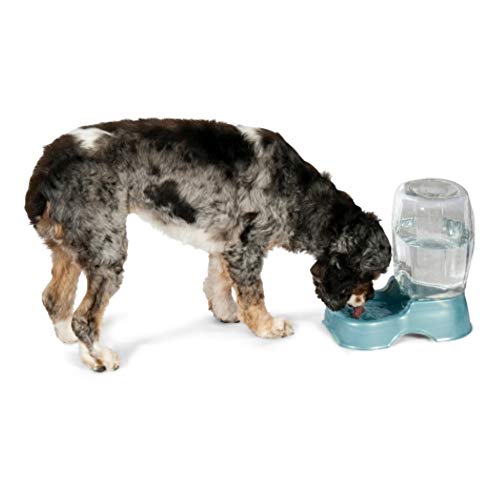 Petmate Pet Cafe Pet Waterer, 3 Gal, pearl silver gray