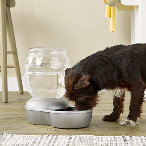 Petmate Replendish Gravity Waterer with Microban Cat and Dog Wate...